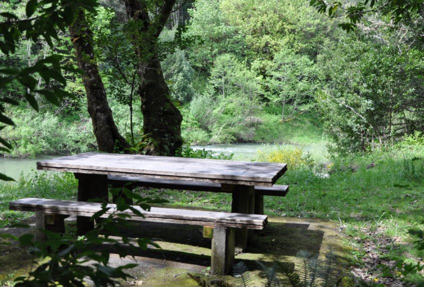 Coquille Myrtle Grove State Natural Site, Oregon, USA